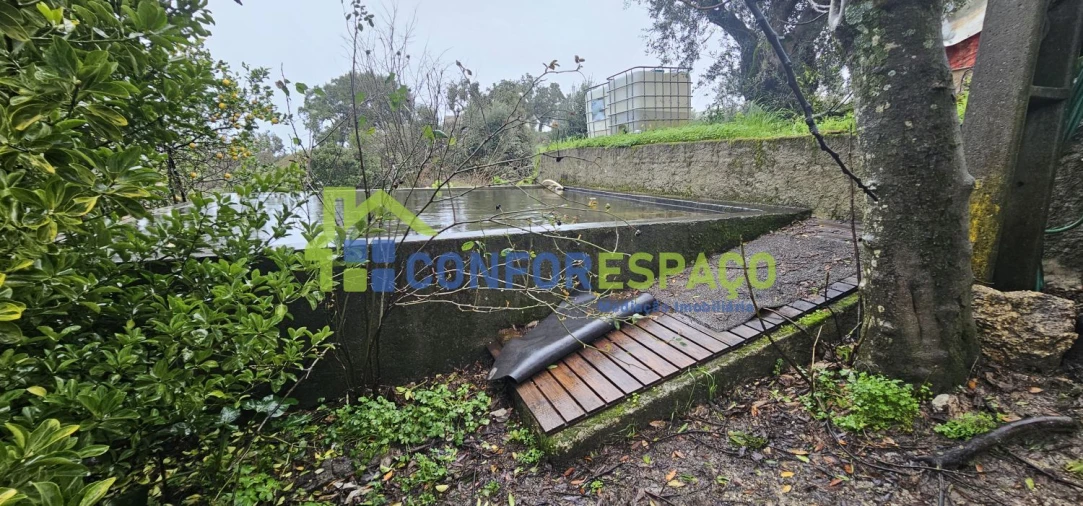 Quinta T6 para Venda em Salgueiro do Campo Foto 10