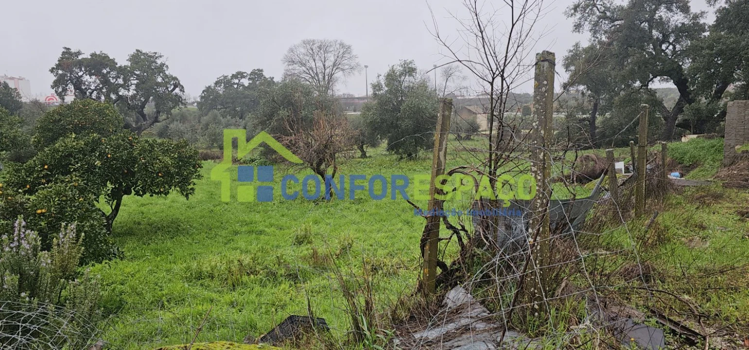 Quinta T6 para Venda em Salgueiro do Campo Foto 7