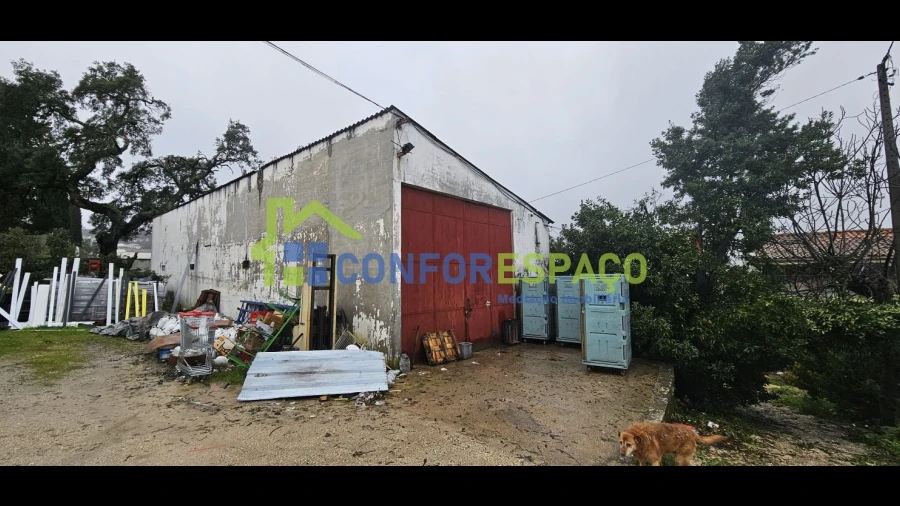 Quinta T6 para Venda em Salgueiro do Campo