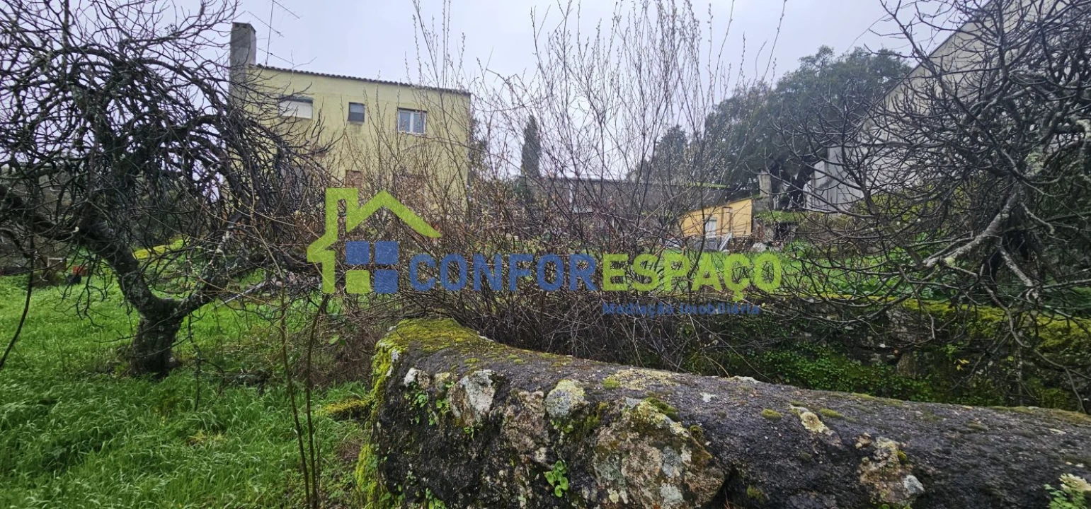 Quinta T6 para Venda em Salgueiro do Campo Foto 5