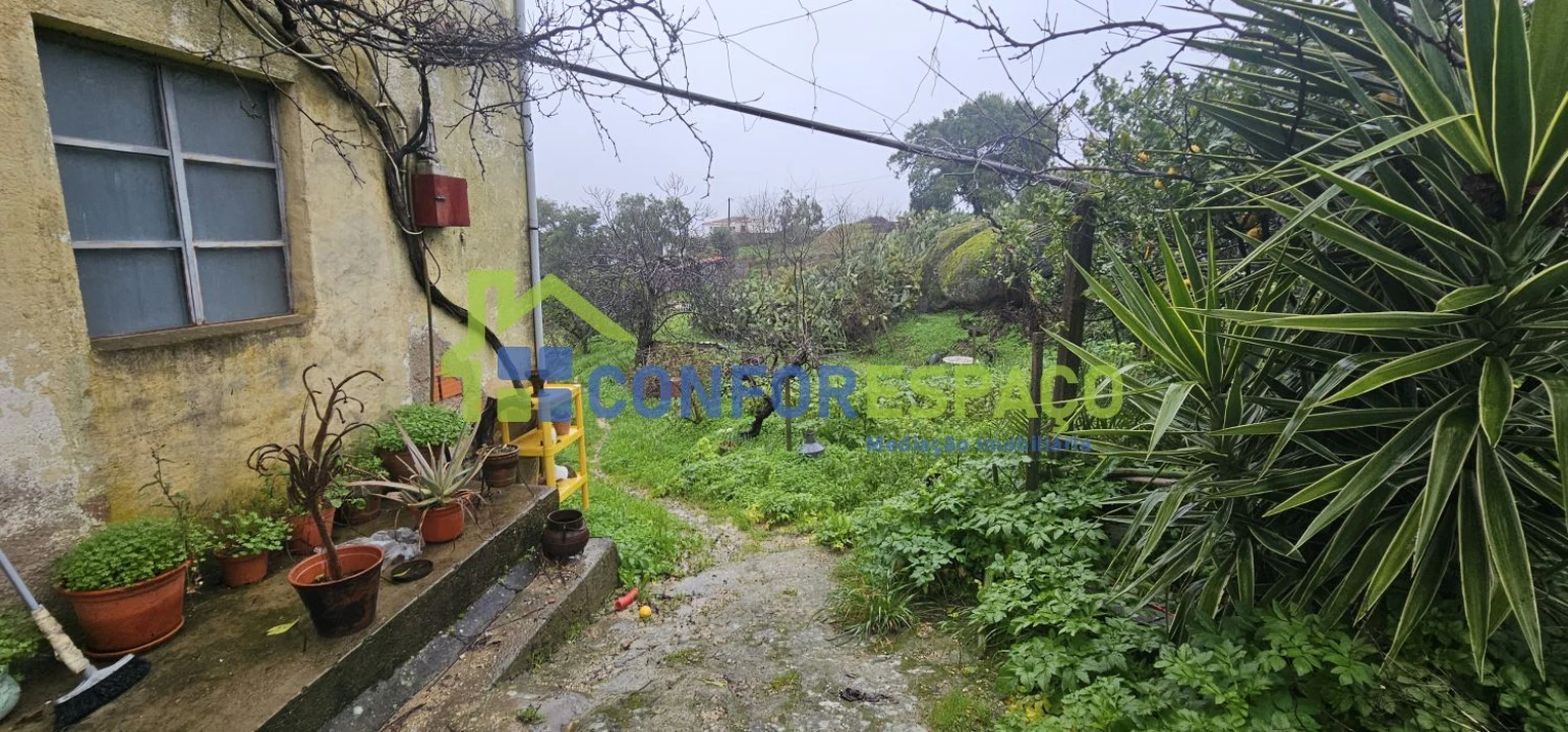 Quinta T6 para Venda em Salgueiro do Campo Foto 3