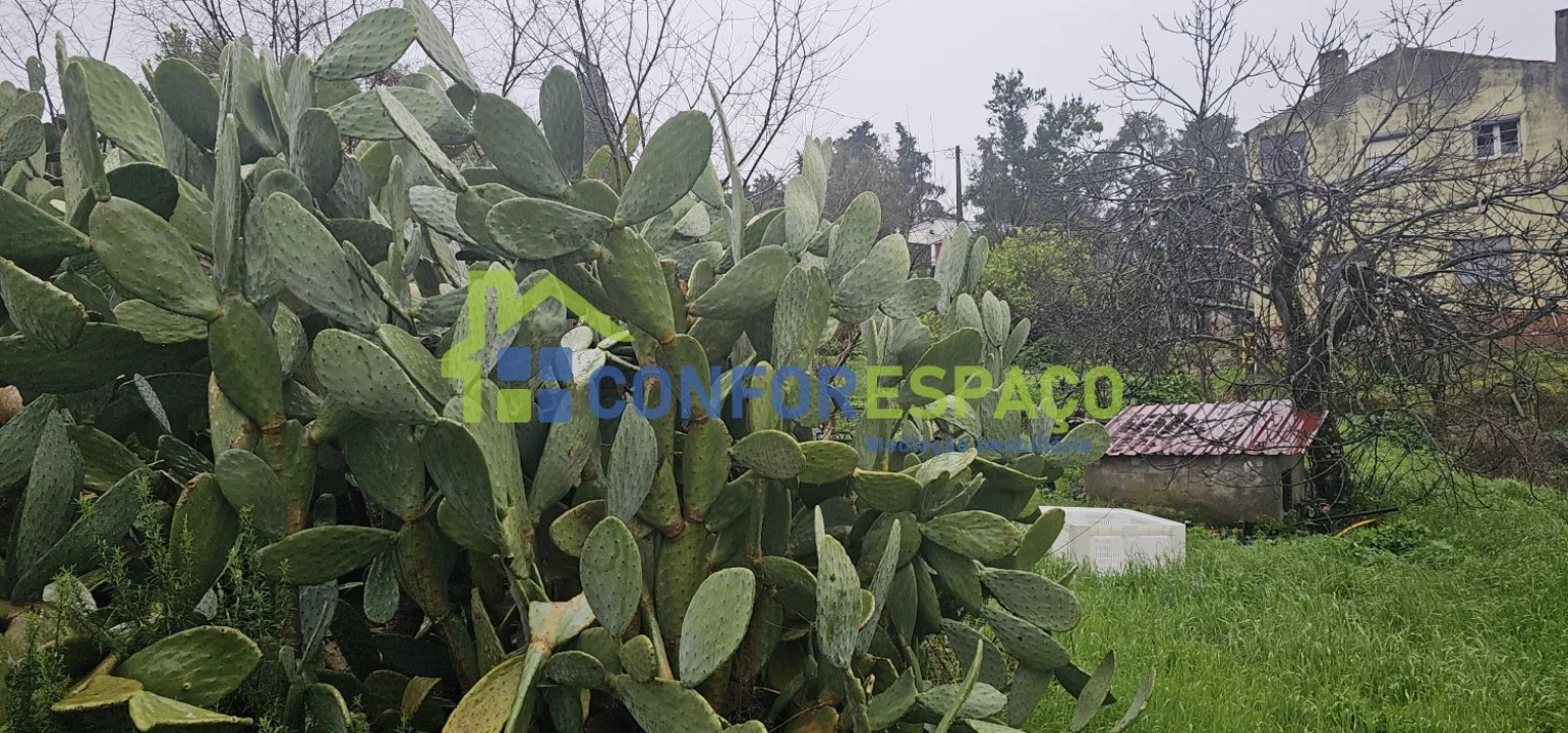 Quinta T6 para Venda em Salgueiro do Campo Foto 8