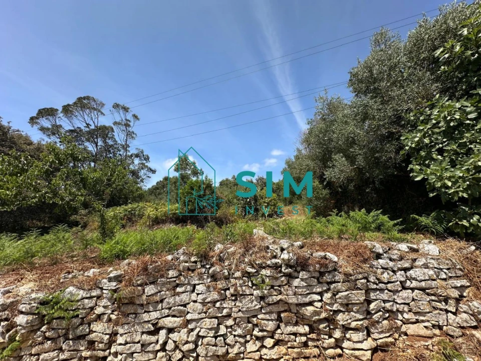 Moradia T1 para Venda em Alcanede Foto 2