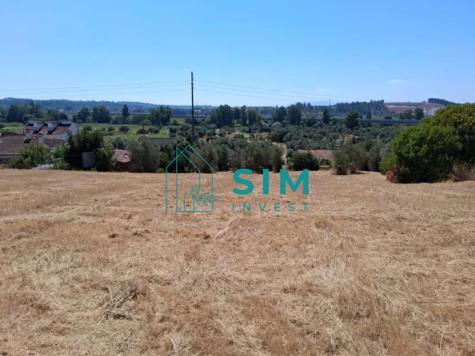 Terreno para Venda em São Pedro de Tomar Foto 12
