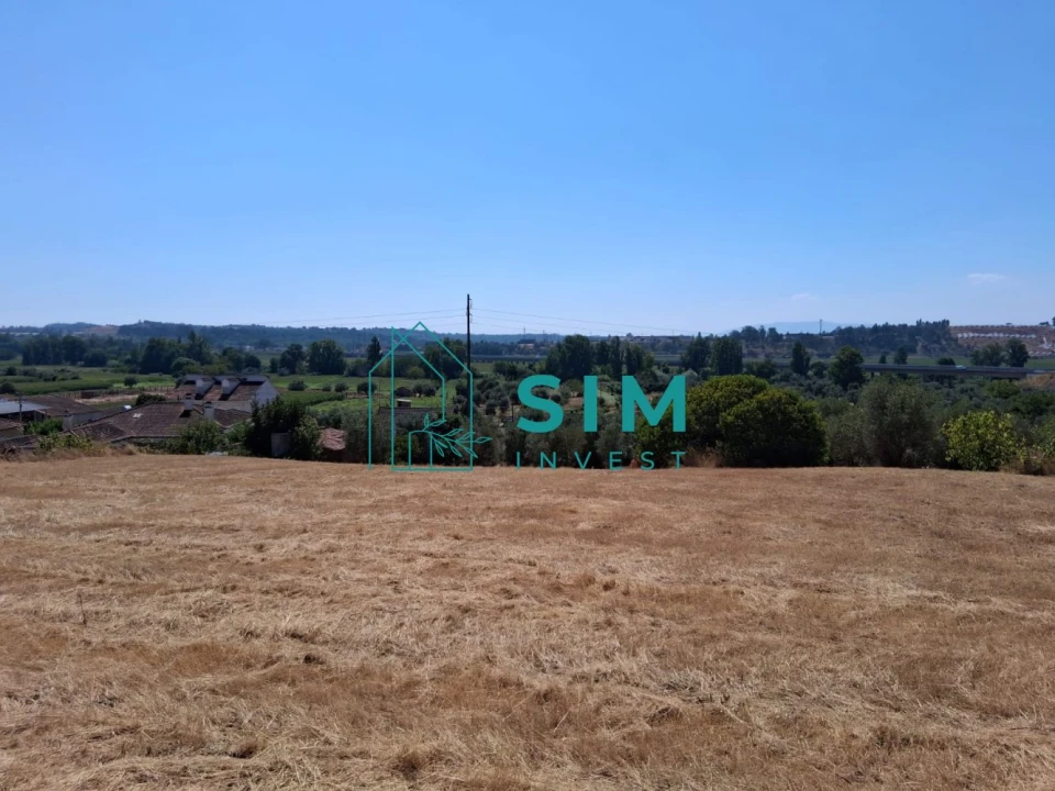 Terreno para Venda em São Pedro de Tomar Foto 11