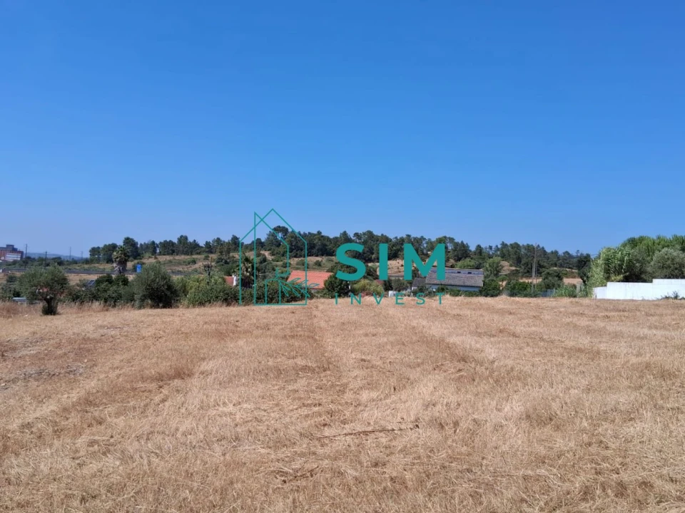 Terreno para Venda em São Pedro de Tomar Foto 5