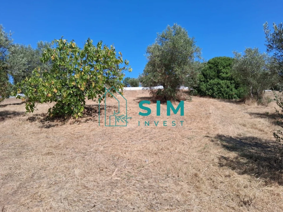 Terreno para Venda em São Pedro de Tomar Foto 7