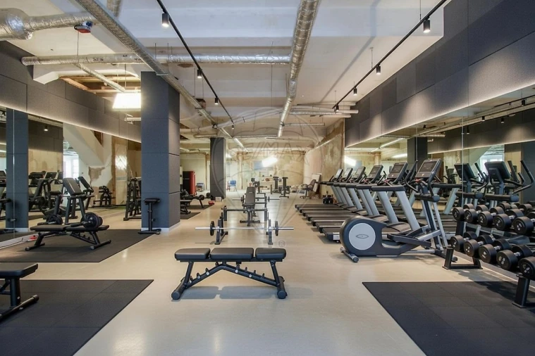 Armazém para Arrendamento em Santo António Foto 17