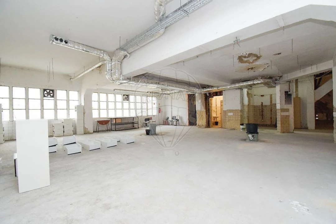 Armazém para Arrendamento em Santo António Foto 4