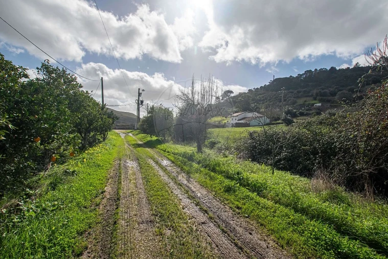 Terreno para Venda em Alhandra, São João dos Montes e Calhandriz Foto 4