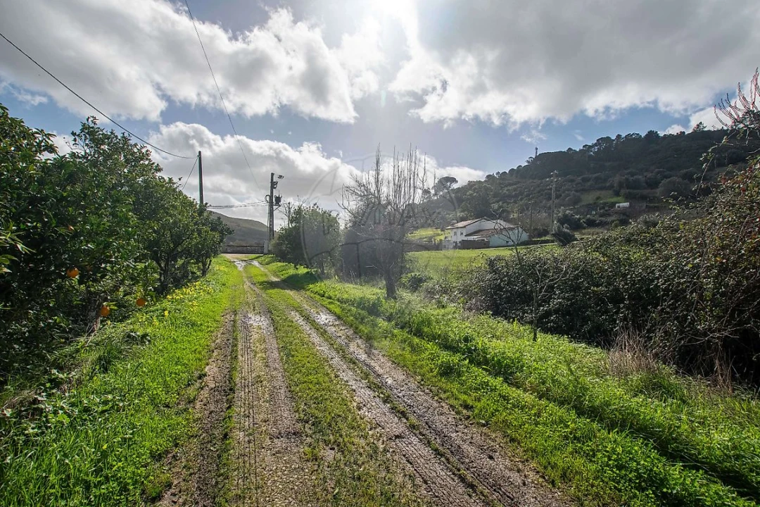 Terreno para Venda em Alhandra, São João dos Montes e Calhandriz Foto 4