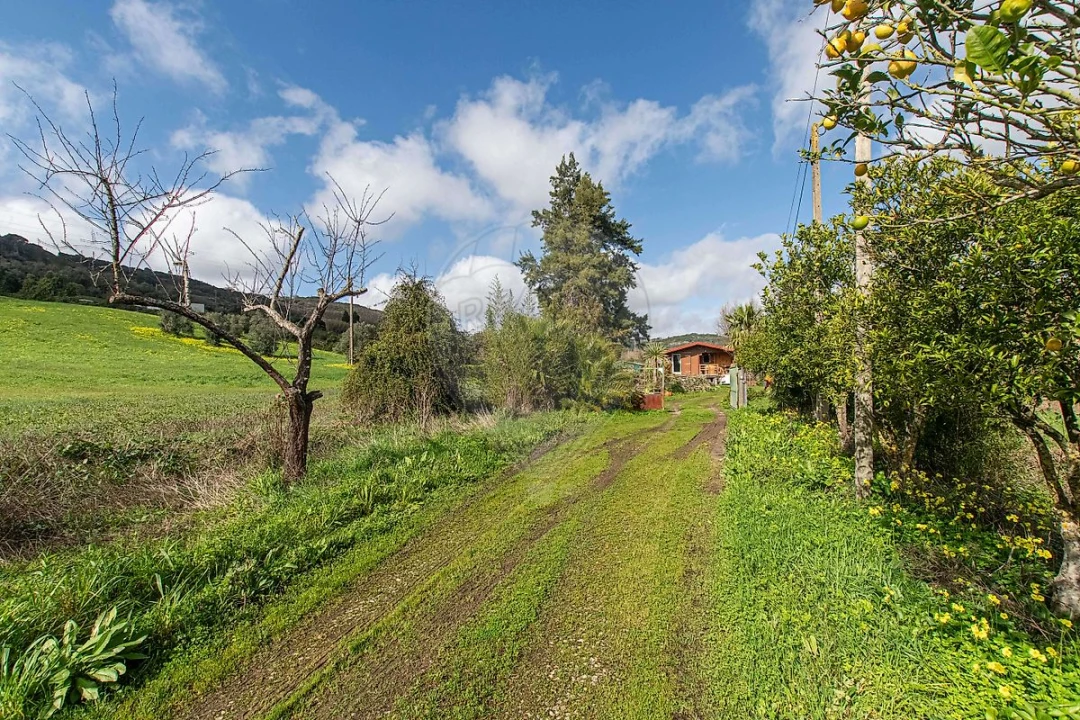 Terreno para Venda em Alhandra, São João dos Montes e Calhandriz Foto 3