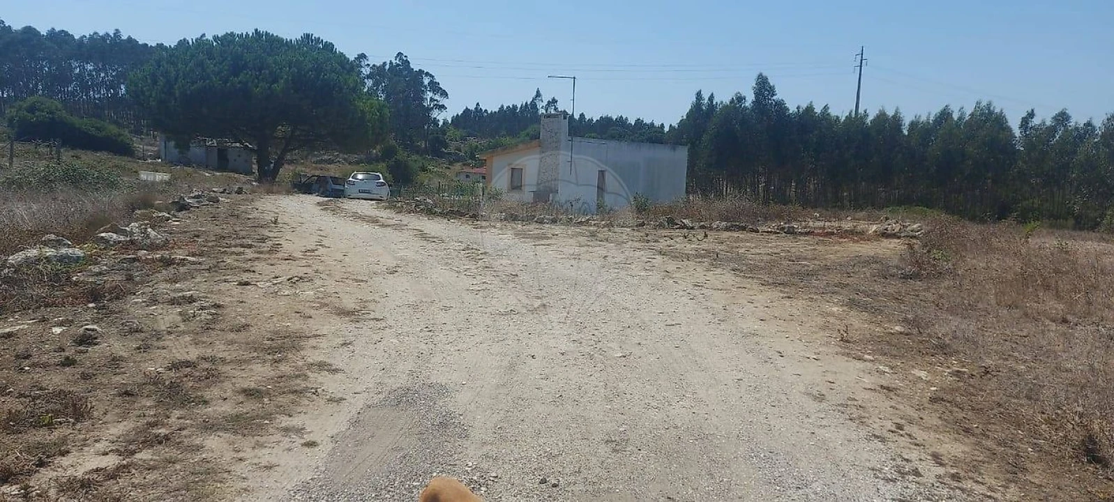 Terreno para Venda em Olho Marinho Foto 8