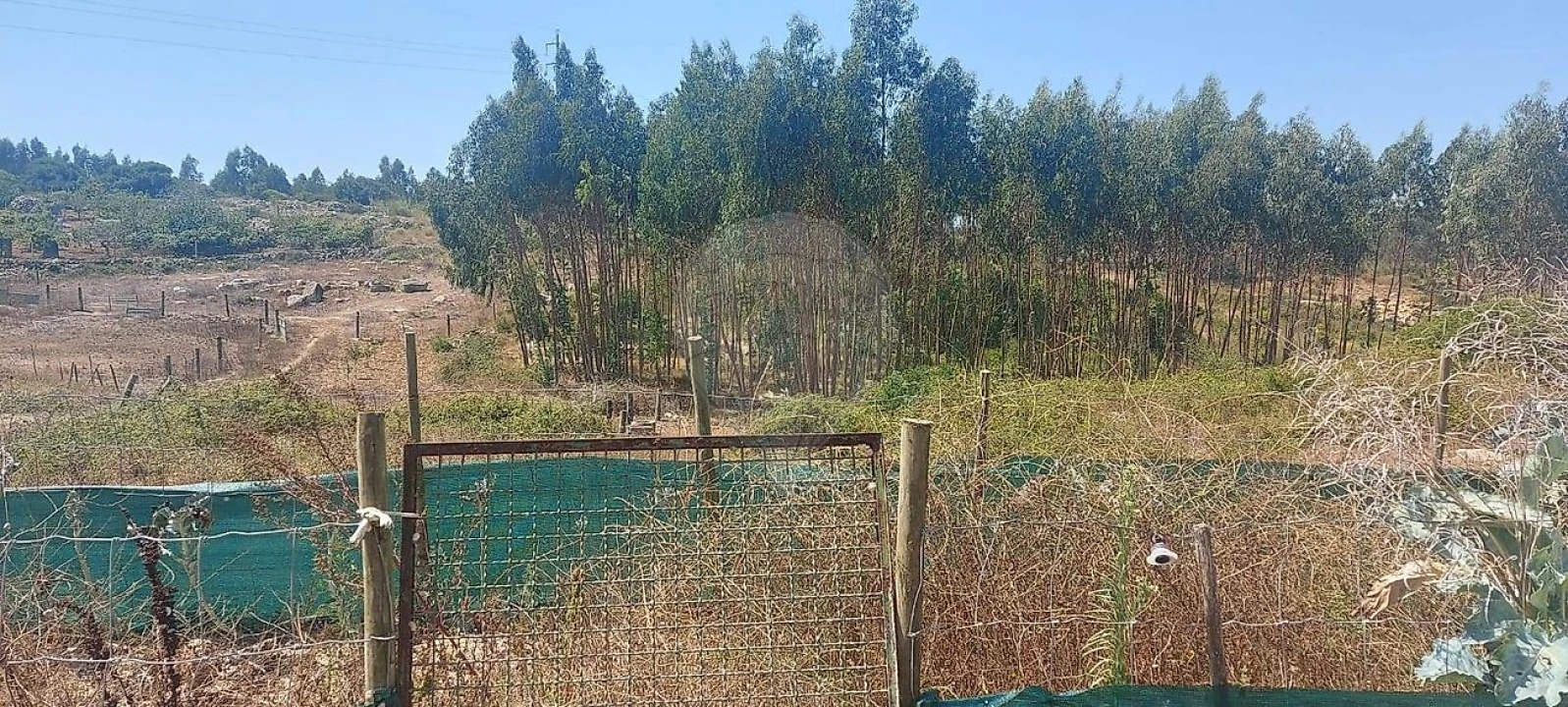 Terreno para Venda em Olho Marinho Foto 10