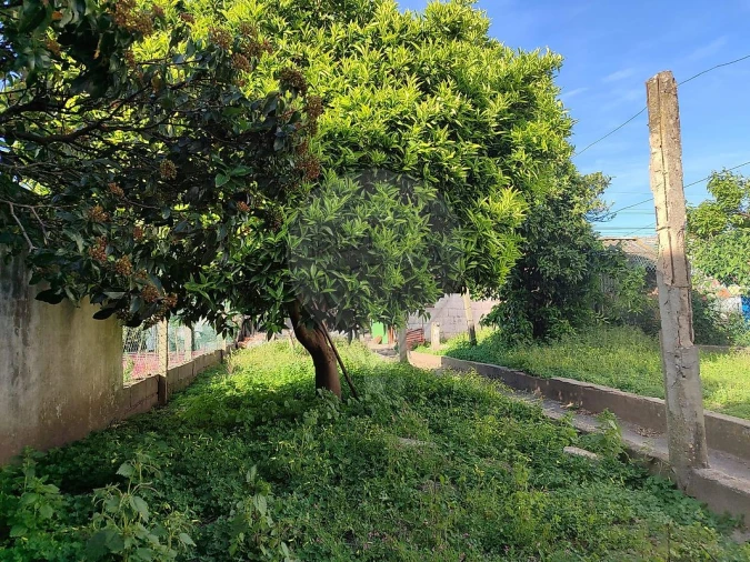 Moradia T3 para Venda em Pego Foto 37