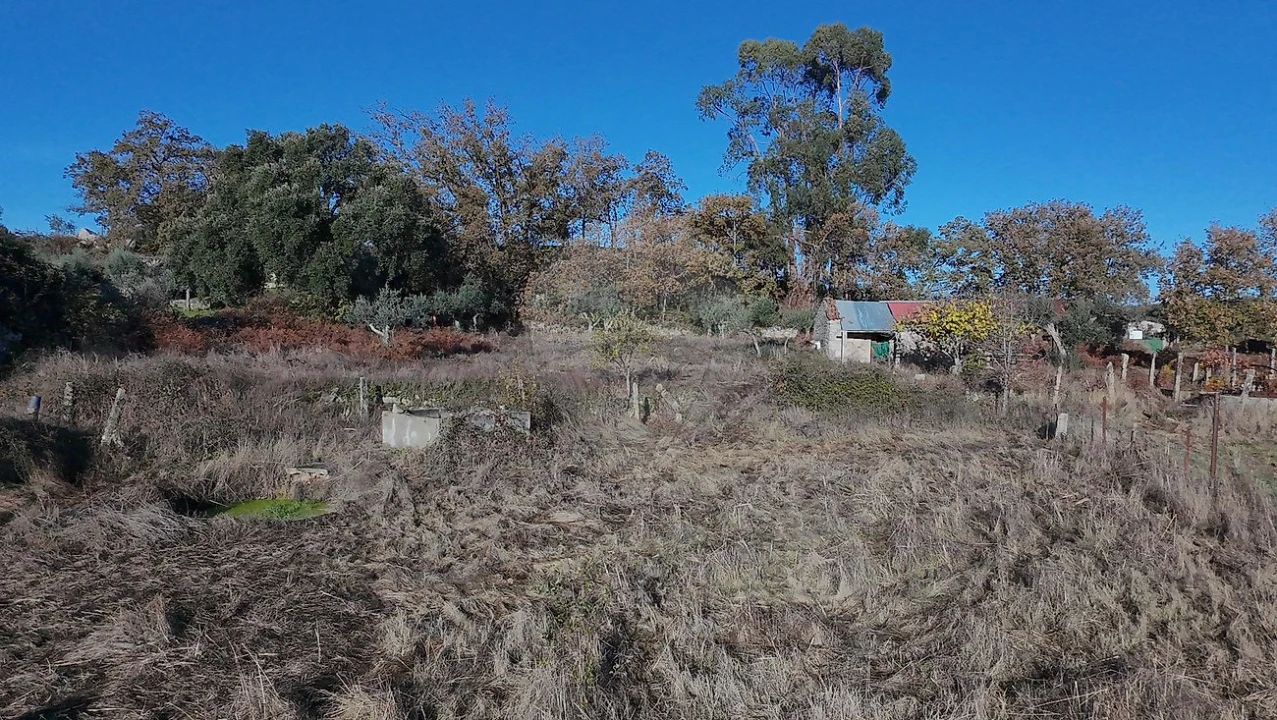 Terreno para Venda em Alcains Foto 3