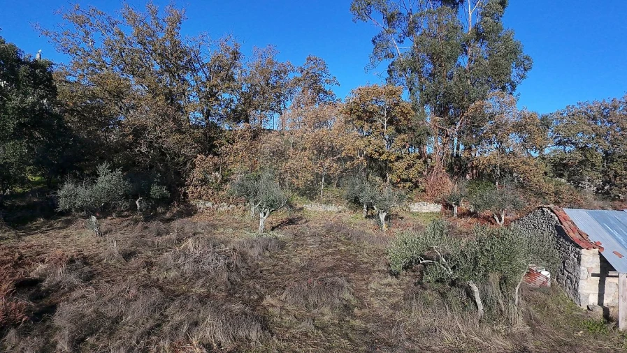 Terreno para Venda em Alcains Foto 4