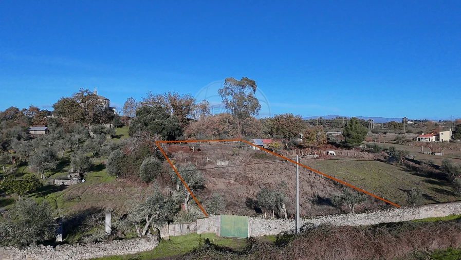 Terreno para Venda em Alcains Foto 7