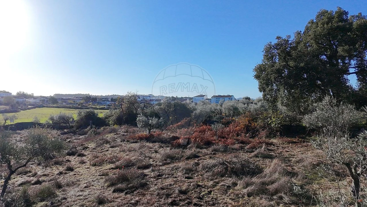 Terreno para Venda em Alcains Foto 2