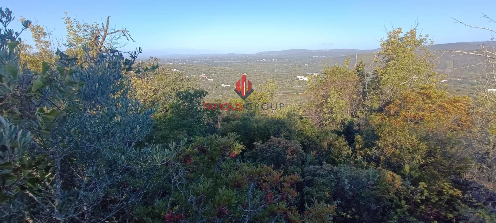 Terreno Agricola ou Rústico para Venda em Paderne Foto 1