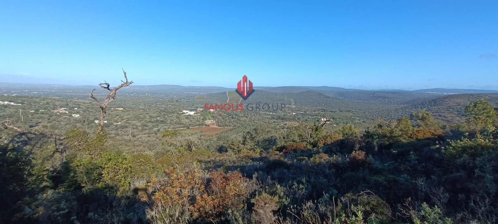 Terreno Agricola ou Rústico para Venda em Paderne Foto 5