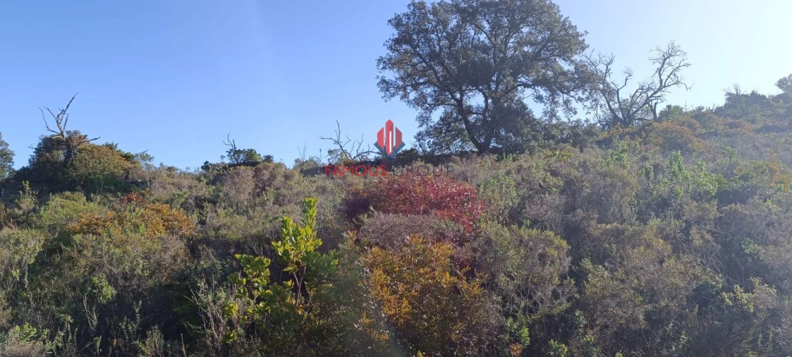 Terreno Agricola ou Rústico para Venda em Paderne Foto 3
