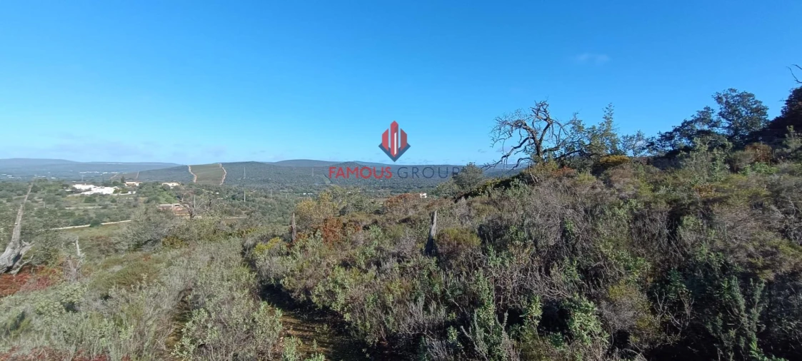 Terreno Agricola ou Rústico para Venda em Paderne Foto 4