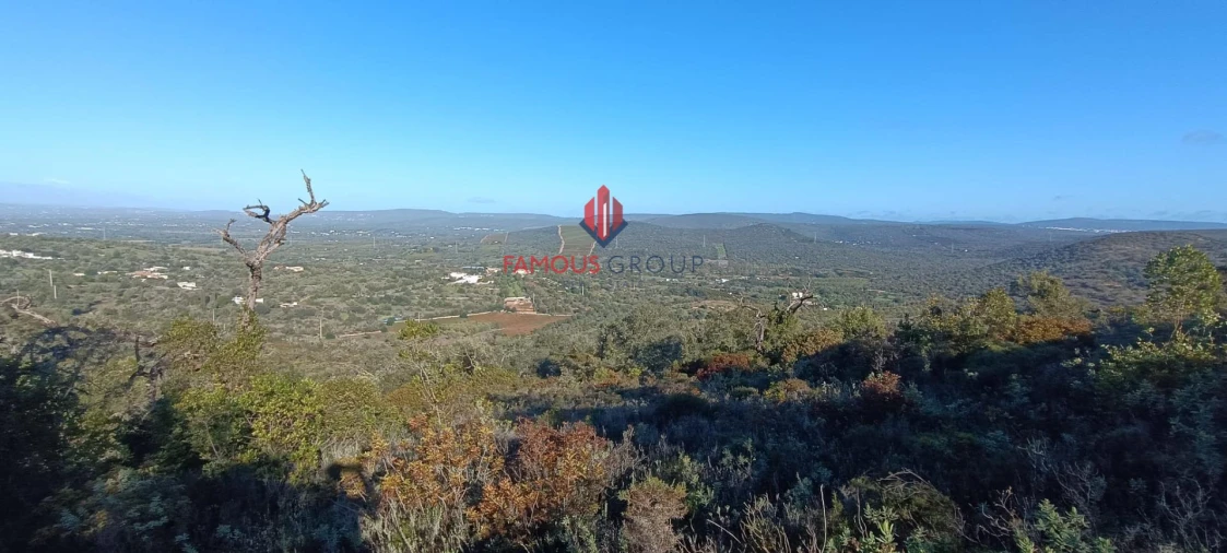 Terreno Agricola ou Rústico para Venda em Paderne Foto 5