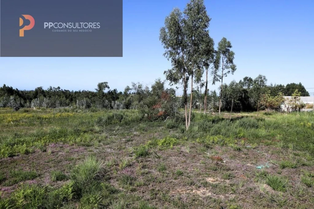 Terreno para Venda em Rio Meão Foto 2