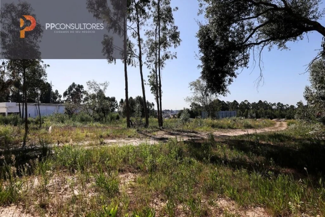 Terreno para Venda em Rio Meão Foto 3