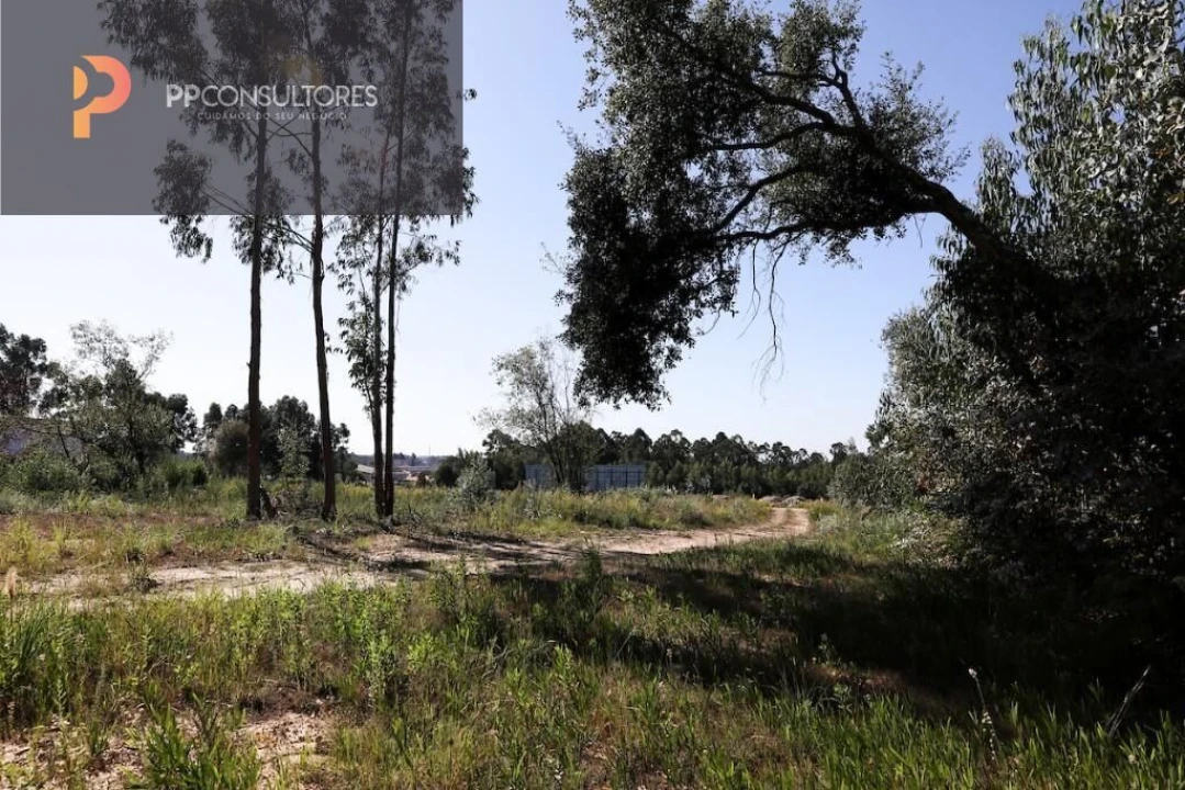 Terreno para Venda em Rio Meão Foto 4