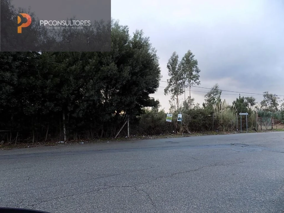 Terreno para Venda em Rio Meão Foto 5