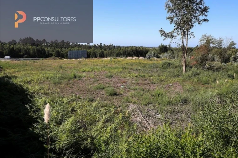 Terreno para Venda em Rio Meão Foto 1