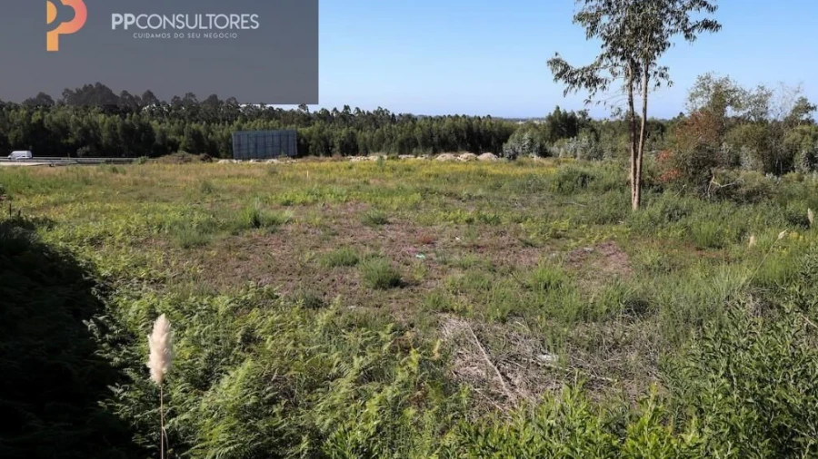 Terreno para Venda em Rio Meão