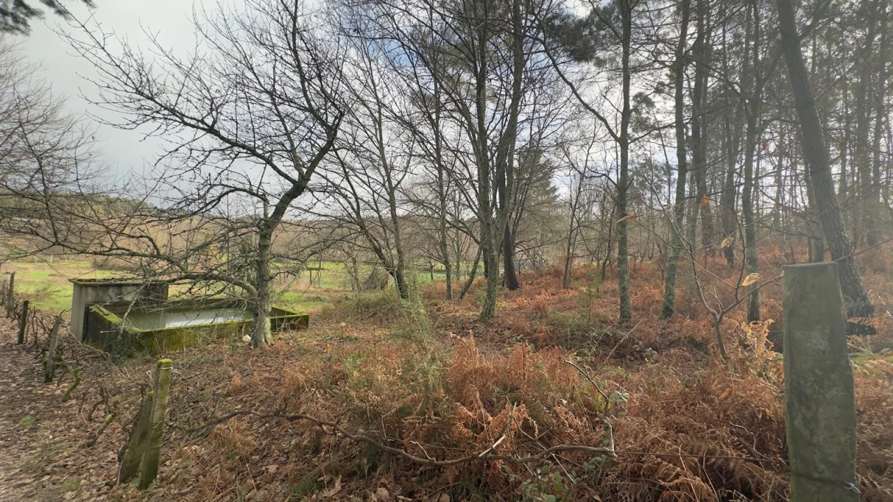 Terreno para Venda em Mundão Foto 11