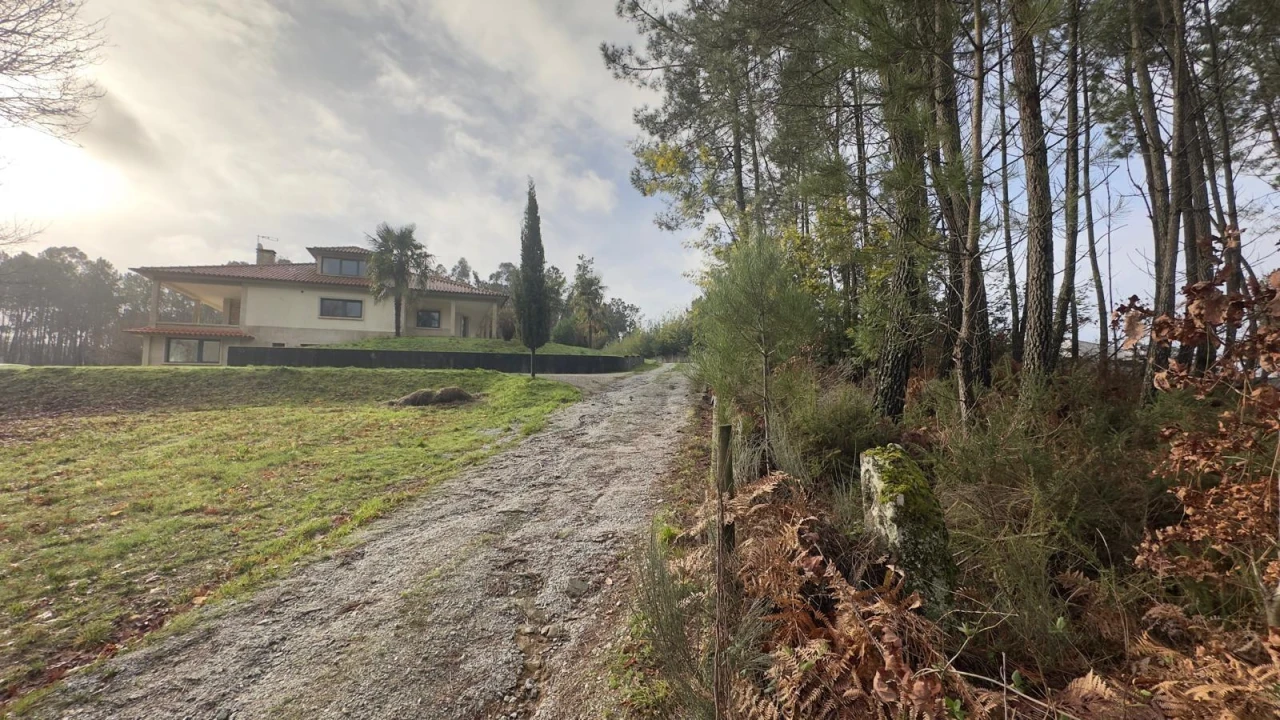Terreno para Venda em Mundão Foto 19