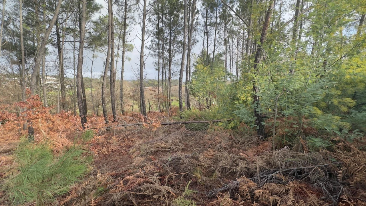Terreno para Venda em Mundão Foto 26