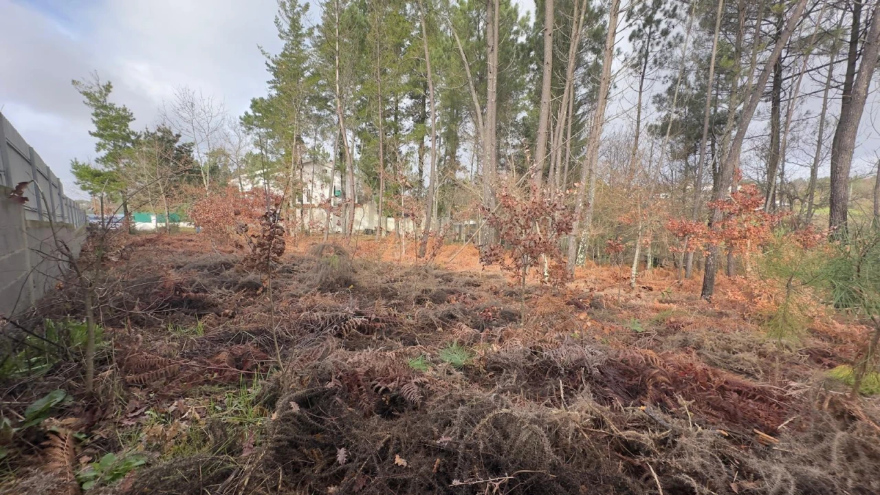 Terreno para Venda em Mundão Foto 28