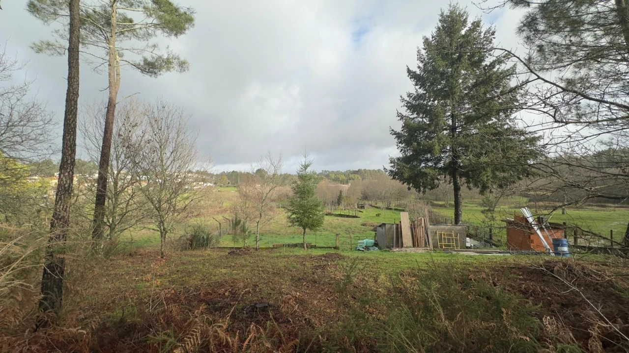 Terreno para Venda em Mundão Foto 3