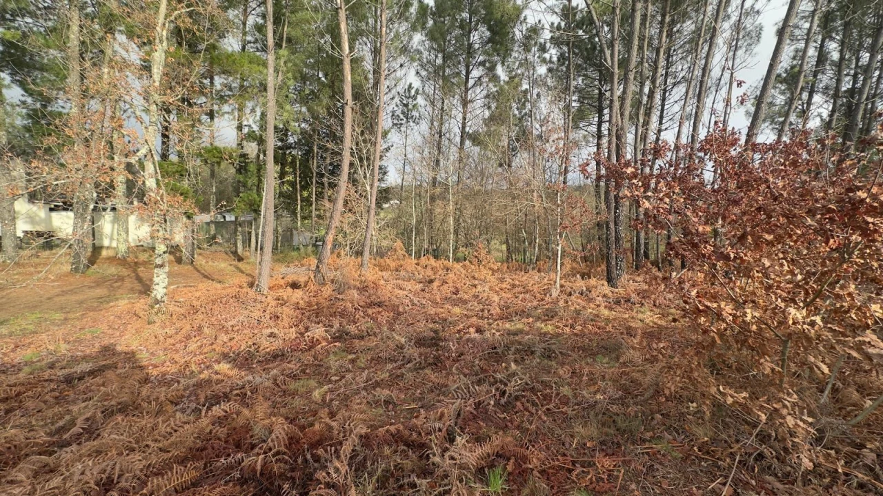 Terreno para Venda em Mundão Foto 4