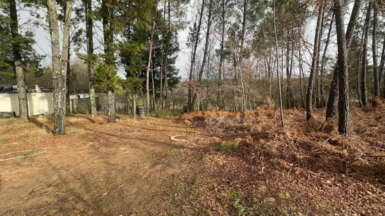 Terreno para Venda em Mundão Foto 5