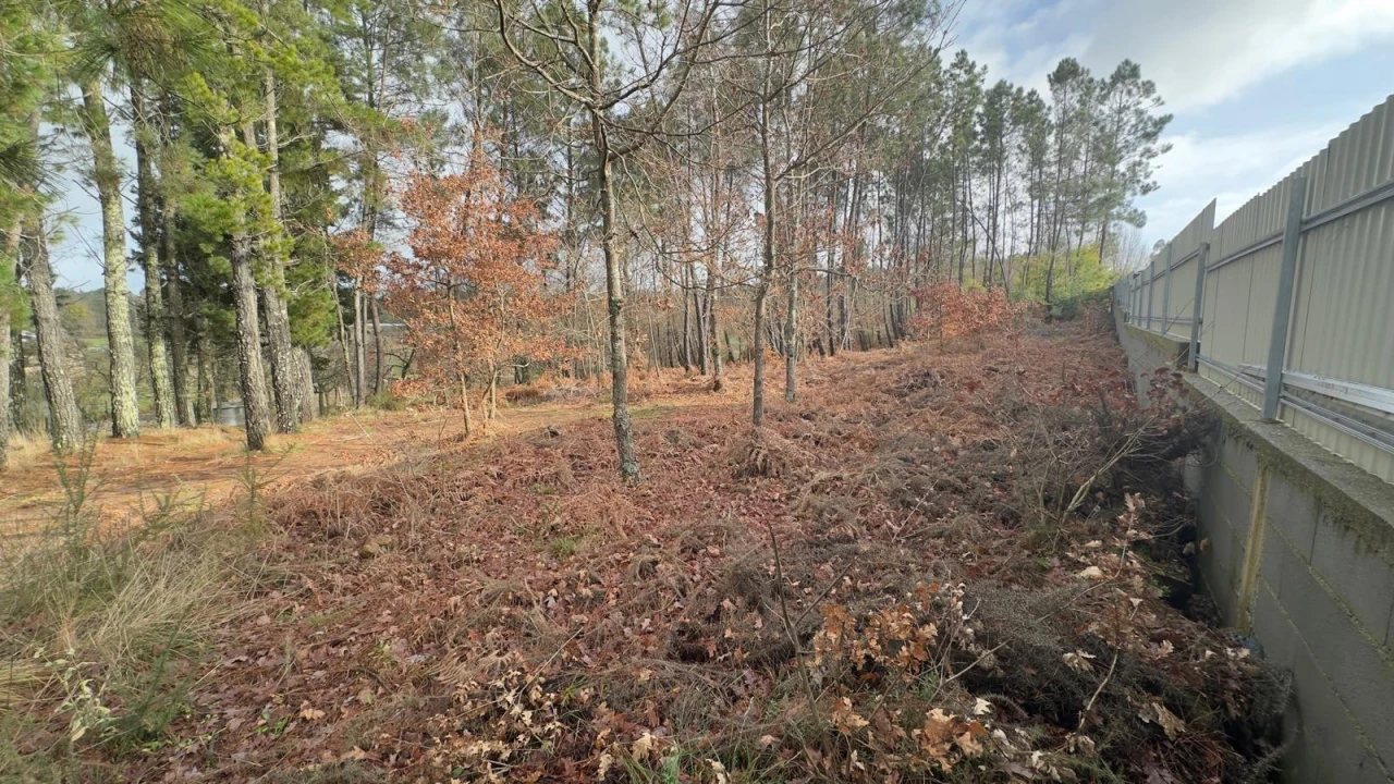 Terreno para Venda em Mundão Foto 8