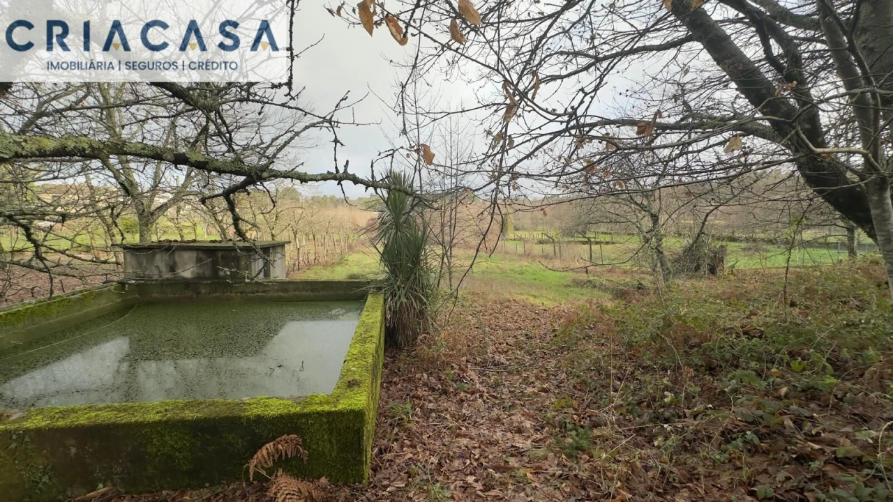 Terreno para Venda em Mundão Foto 12