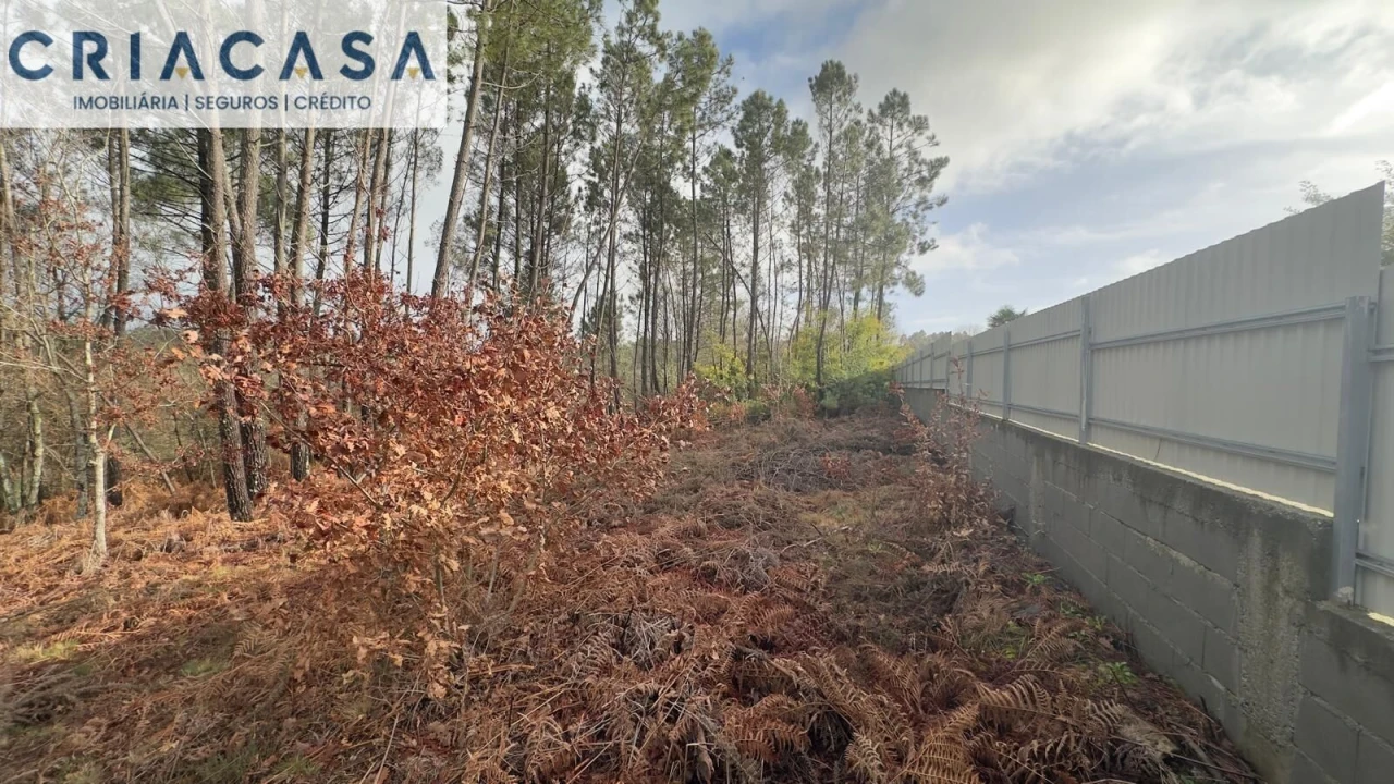 Terreno para Venda em Mundão Foto 14