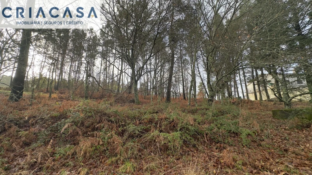 Terreno para Venda em Mundão Foto 16