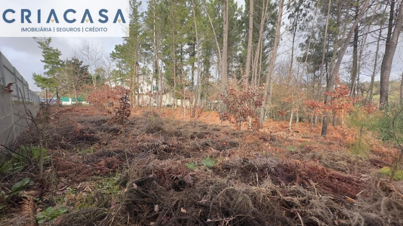 Terreno para Venda em Mundão Foto 28
