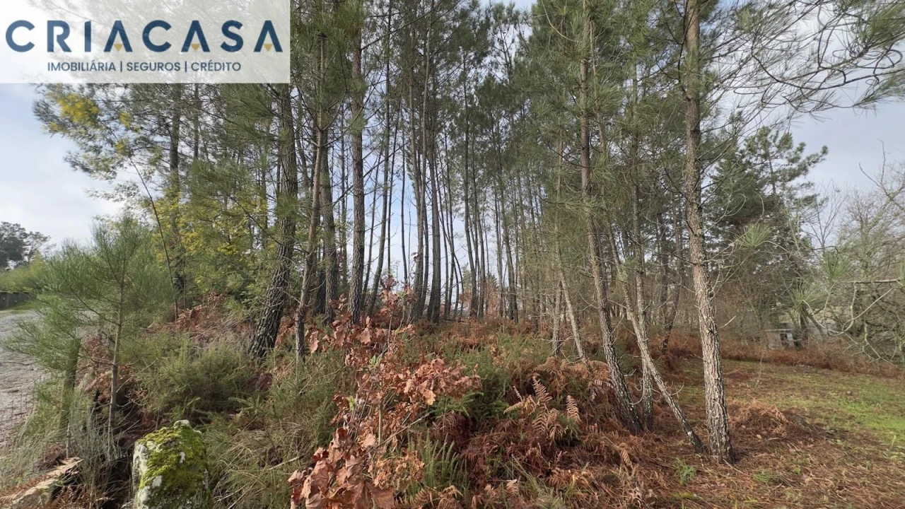 Terreno para Venda em Mundão Foto 29