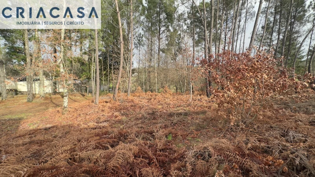 Terreno para Venda em Mundão Foto 30