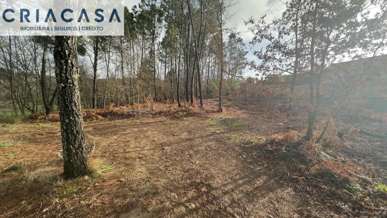 Terreno para Venda em Mundão Foto 6