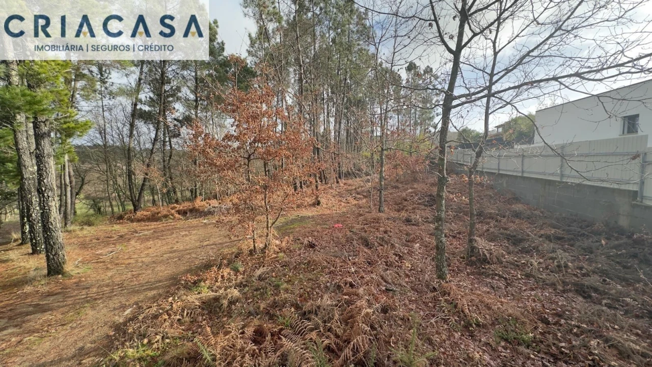 Terreno para Venda em Mundão Foto 7